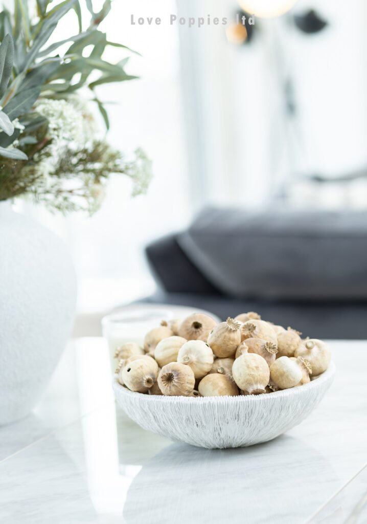 Buy Poppy Pods Online